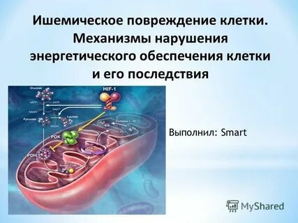Нарушение клеточных механизмов