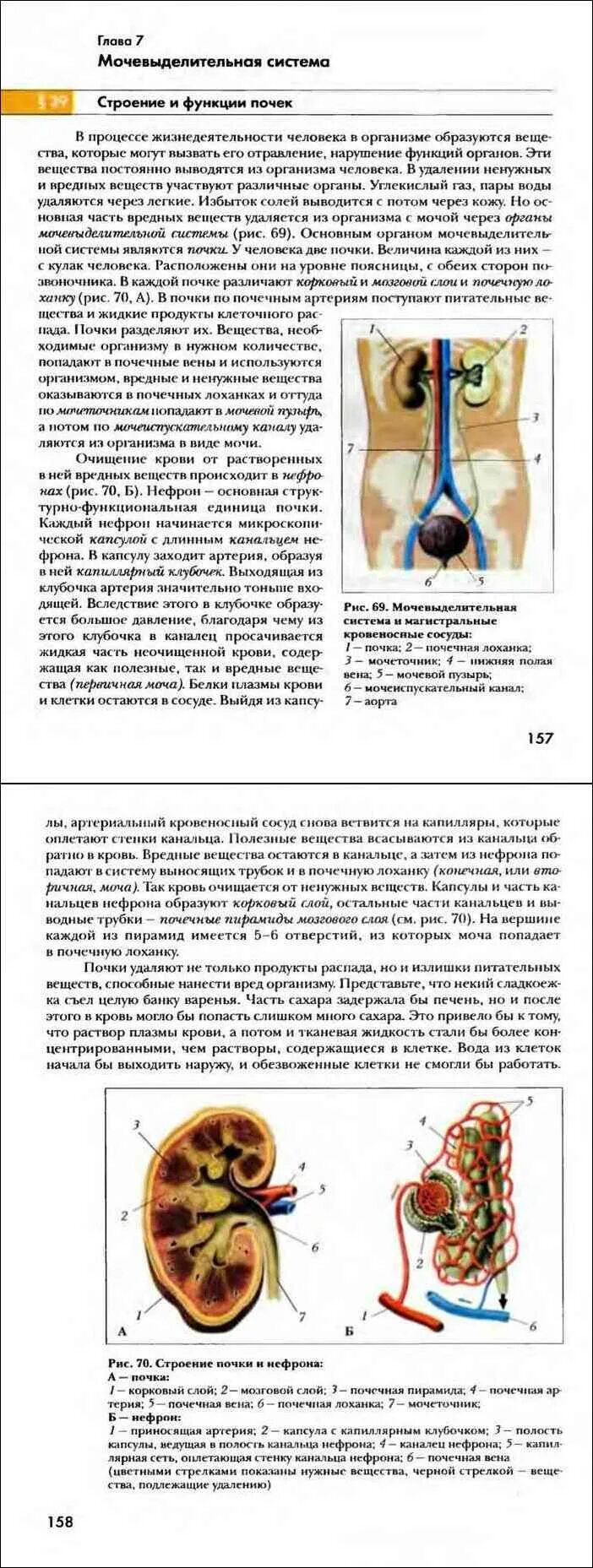 Драгомилов а.г., маш р.д. биология 8. Биология 8 класс драгомилов маш. Учебник по биологии 8 класс. Учебник по биологии 8 класс драгомилов. Биология 8 класс главное