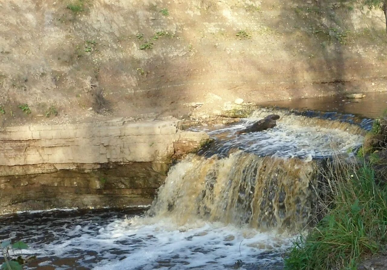 Маленький саблинский водопад. Саблинские дачи. Саблинские дачи. Саблино водопады. Саблинские дачи.