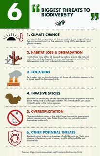 The threat to the environment