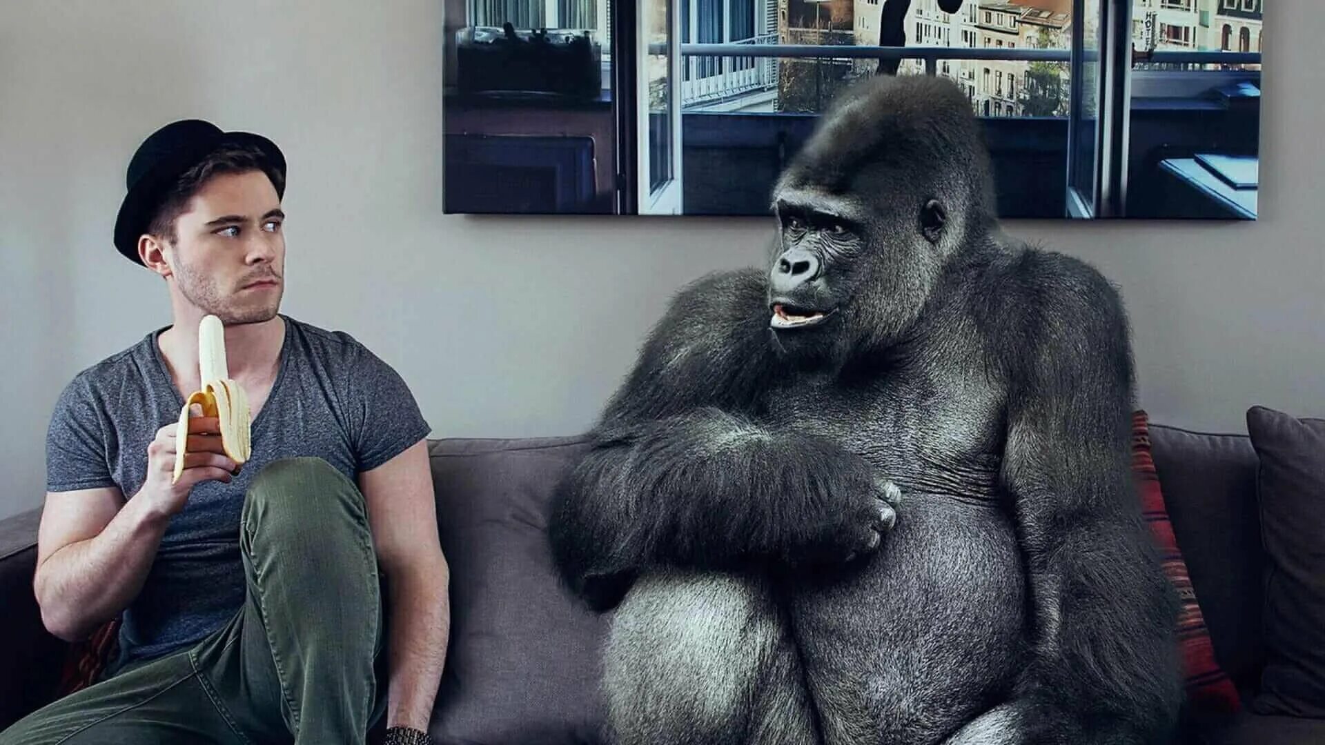 Monkey man дата выхода
