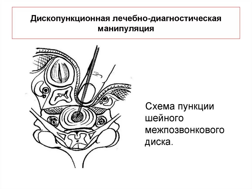Проведение диагностических манипуляций. Лечебно-диагностические манипуляции. виды диагностических манипуляций. диагностическая деятельность манипуляции. выполнение лечебно-диагностических манипуляций в ветеринарии.