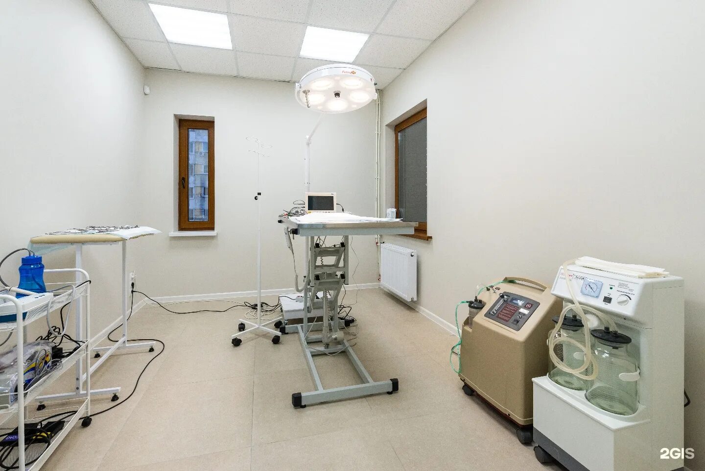 честер просп испытателей 13 отзывы. ул. испытателей 13 санкт-петербург. честер просп испытателей 13 отзывы. ветеринарный центр честер.