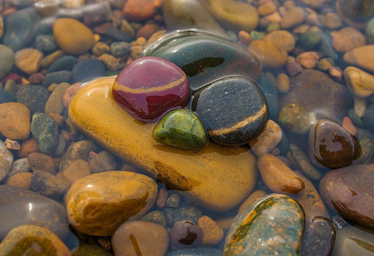 Какой камень плавает. Речная галька горного Алтая. Морские камни. Разноцветные камни. Красивые морские камни.