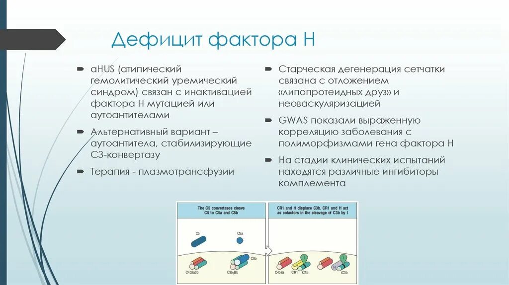 Фактор h системы комплемента. Дефицит комплемента фактора h. Недостаток комплемента фактора h. Дефицит системы комплемента.