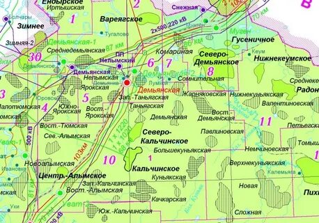 трайгородско кондаковского нефтяного месторождения реферат