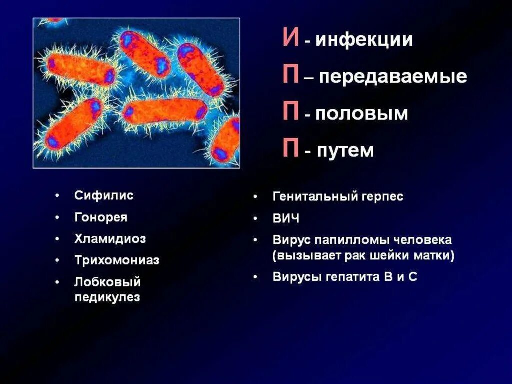 Заболевания половым путем список. Вирусные заболевания,передаваемые преимущественно половым путем. К возбудителям инфекций передающихся половым путем вирус. Инфекции и заболевания передаваемые половым путем.