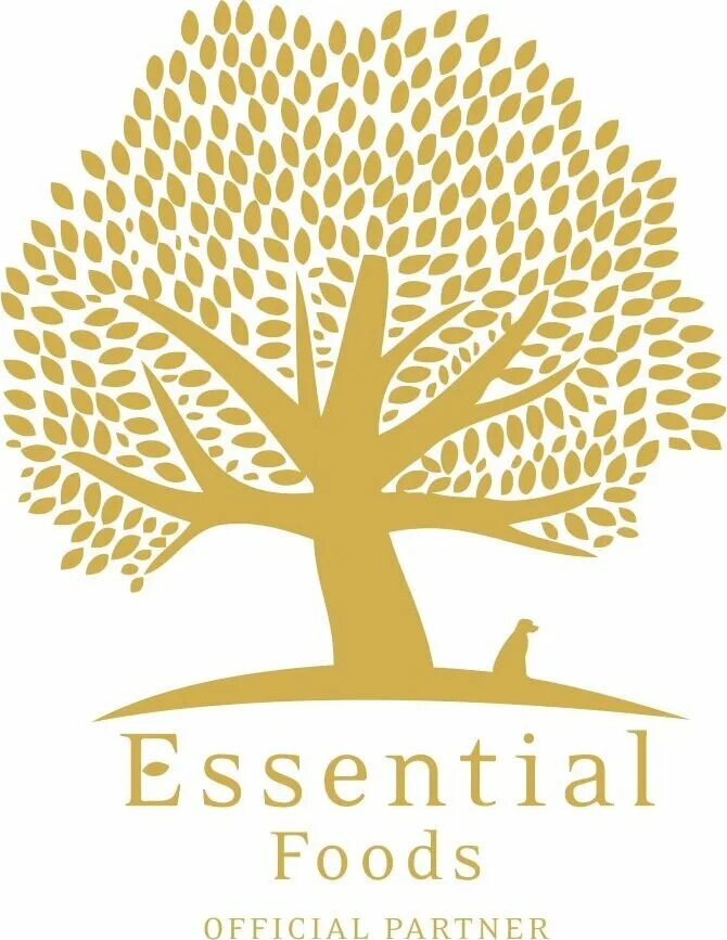 Essential rs. Essential foods. essentiel. essentials logo. the essential.