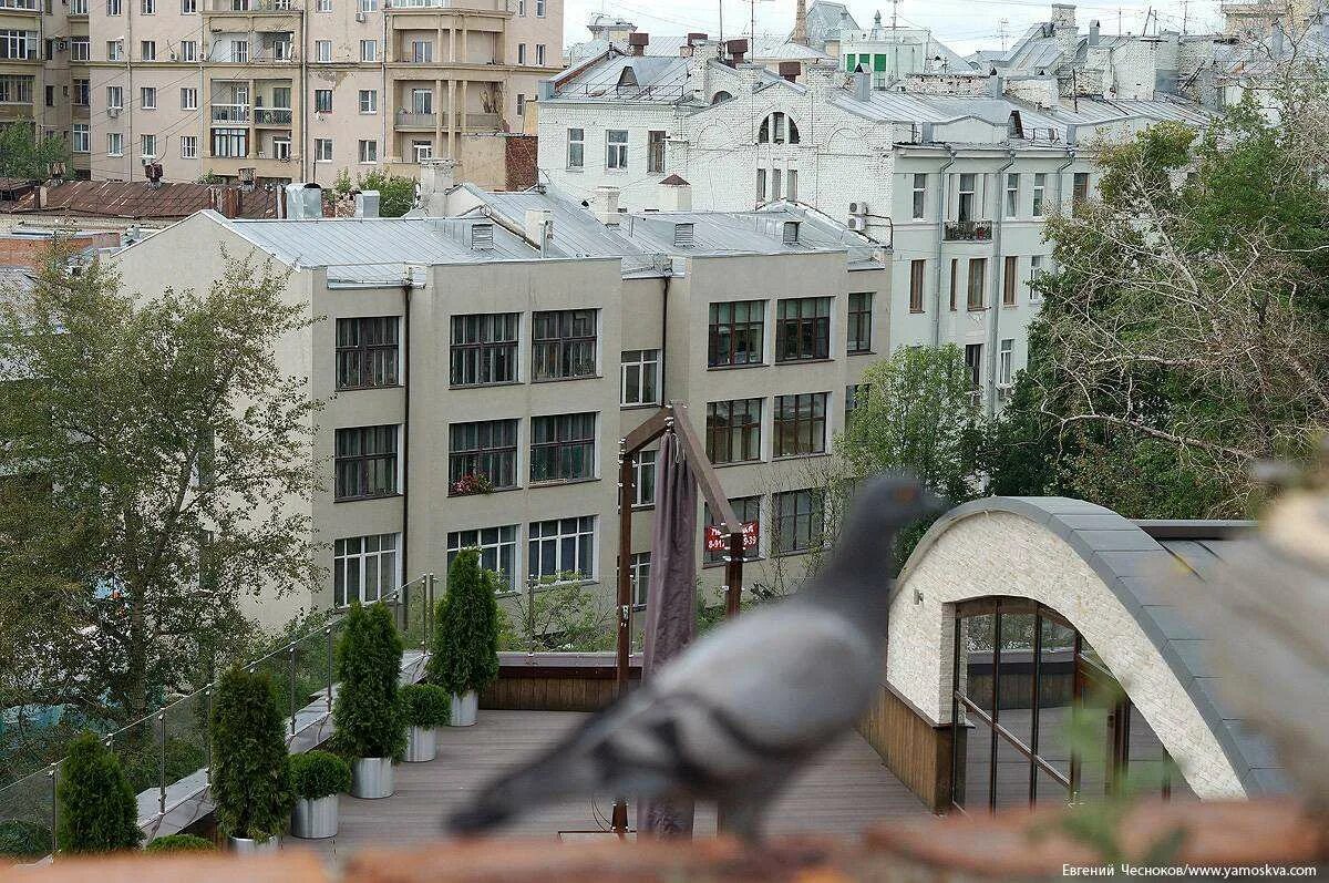 Синагога на патриарших прудах. Земляной вал 34. Икарус 260 зеленый. Московское шоссе 260. Ул.