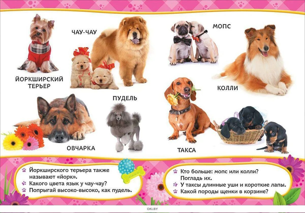 Название щенка