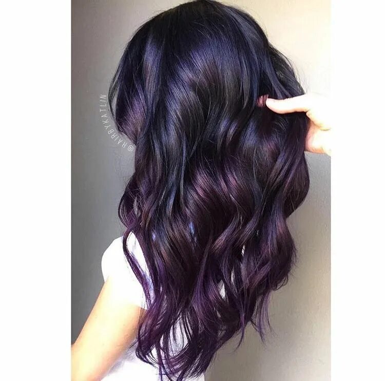 Темный баклажановый цвет волос на темные волосы. Темные волосы с фиолетовым отливом. Фиолетовый оттенок на темных волосах. Черные волосы с фиолетовым отливом. Черные волосы с отливом