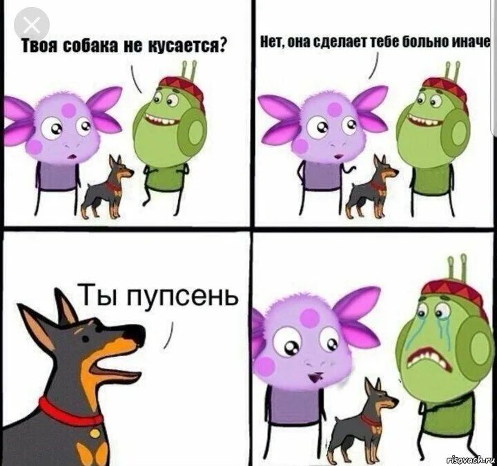 Что твоя собака делает