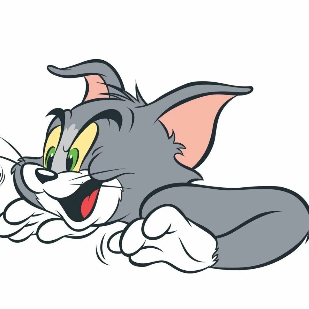 Tom and Jerry. Герои мультфильма том и Джерри. Том из мультика том и Джерри. Том и Джерри фото.