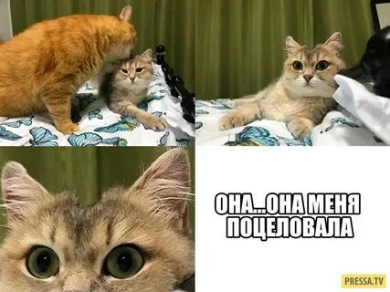 Жизненные ситуации смешные картинки с надписями