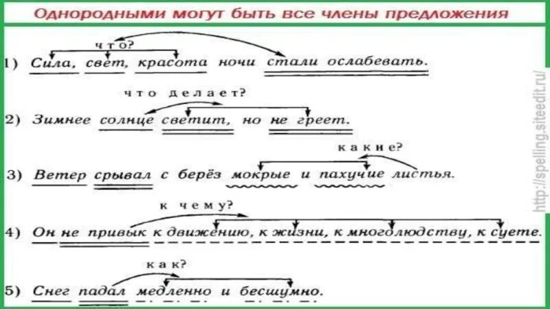 Пунктуационный разбор предложения образец 5 класса