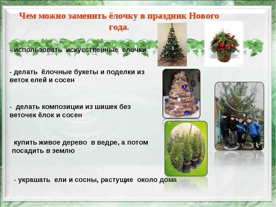 Сохранение хвойных деревьев. Памятка сохраним елочку красавицу. буклет в защиту хвойных деревьев. буклет сохраним елку. буклет елка.