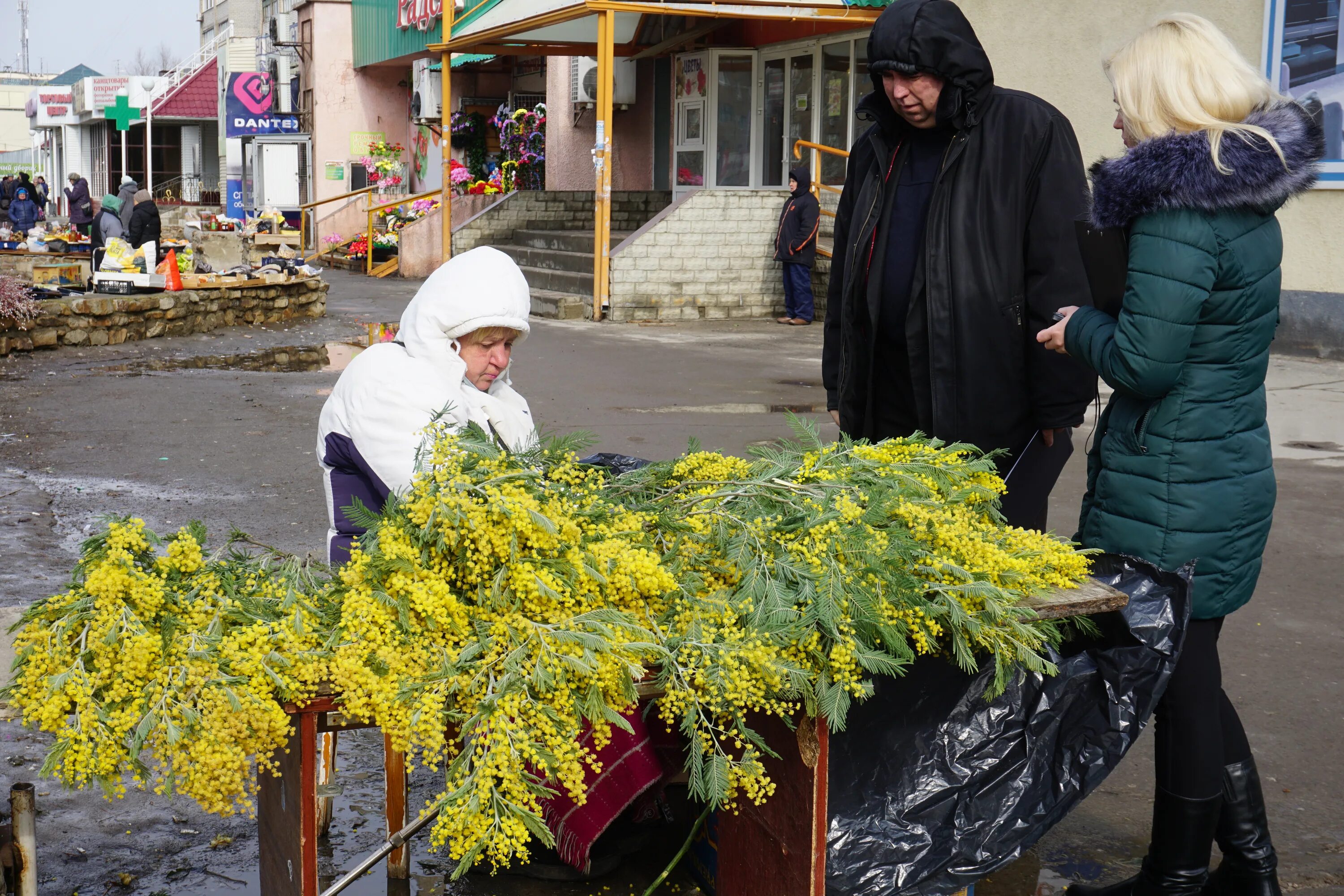 Почему продают мимозу. Мимоза на рынке. Торговец мимозами. Мимоза торговля на улице. Мимоза на Рижском рынке.