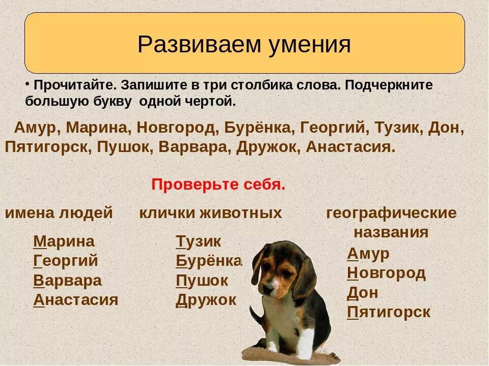 Подберите животным клички запишите. Клички животных. клички животных пишутся. записать клички животных. клички животных из книг.
