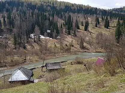 П каз