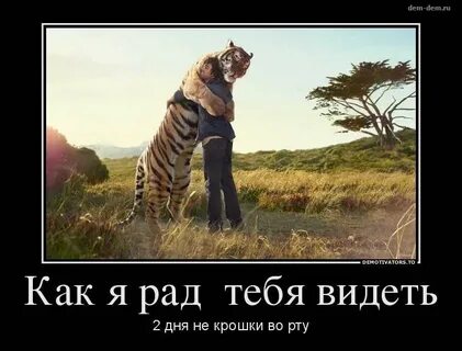 Она не рада
