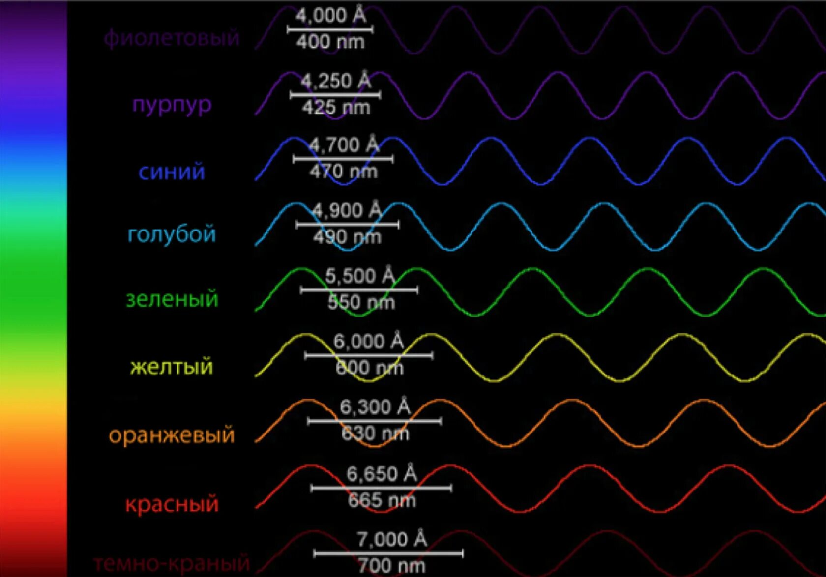 Длины волн цветов. Какая длина волны у красного цвета. Длина волны красного лазар. Длина волны зеленого цвета. Длина волны цвета.