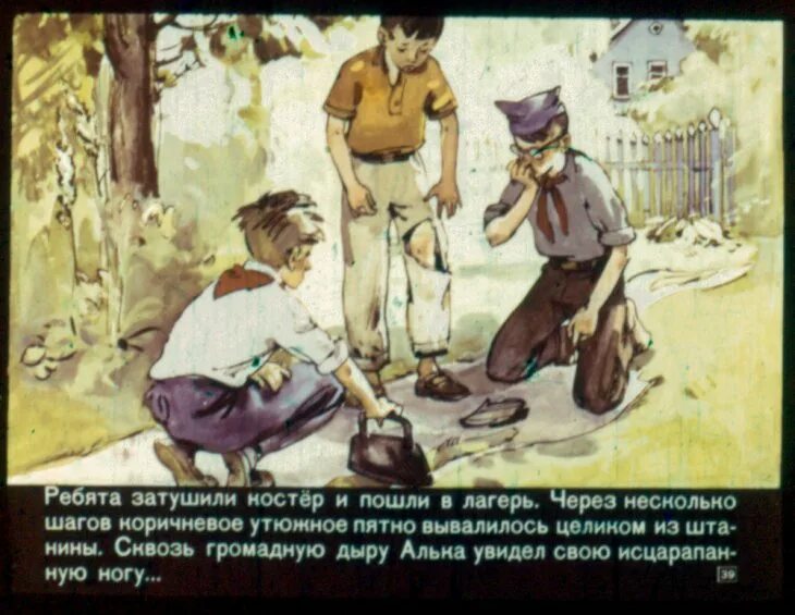 Крапивин зеленая грива читать. Зеленая грива крапивин. в.крапивина &quot;брат, которому семь&quot;. зеленая грива крапивин читать. иллюстрации крапивин брат которому семь зеленая грива.