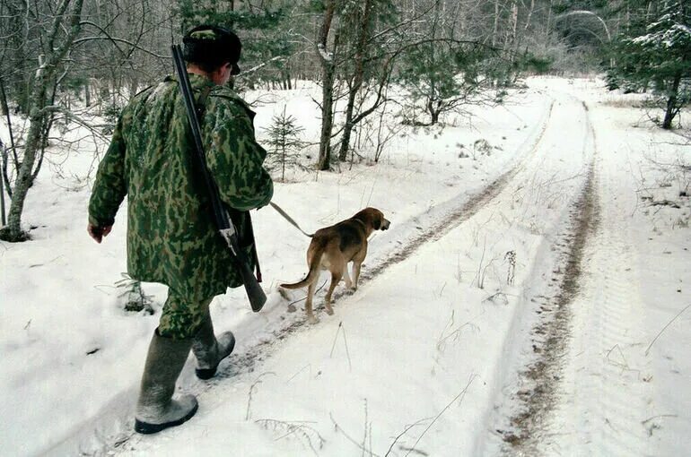 Охотиться перевод. Охотничий инспектор. Охота. Вольерная охота в мире. Охотничий контроль.