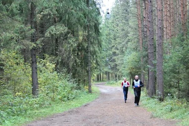 Вк порошино. Порошино Киров тропа здоровья. Киров Порошино лес. Порошино тропы здоровья. Парк Порошино Киров.