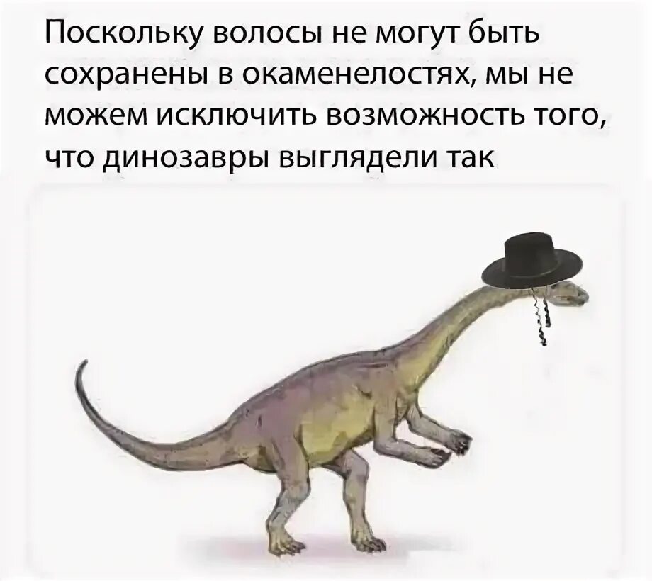 Как люди знали как выглядят динозавры An Expert Explains How the Tyrannosaurus Rex Stacks Up to Other Massive Marvel M