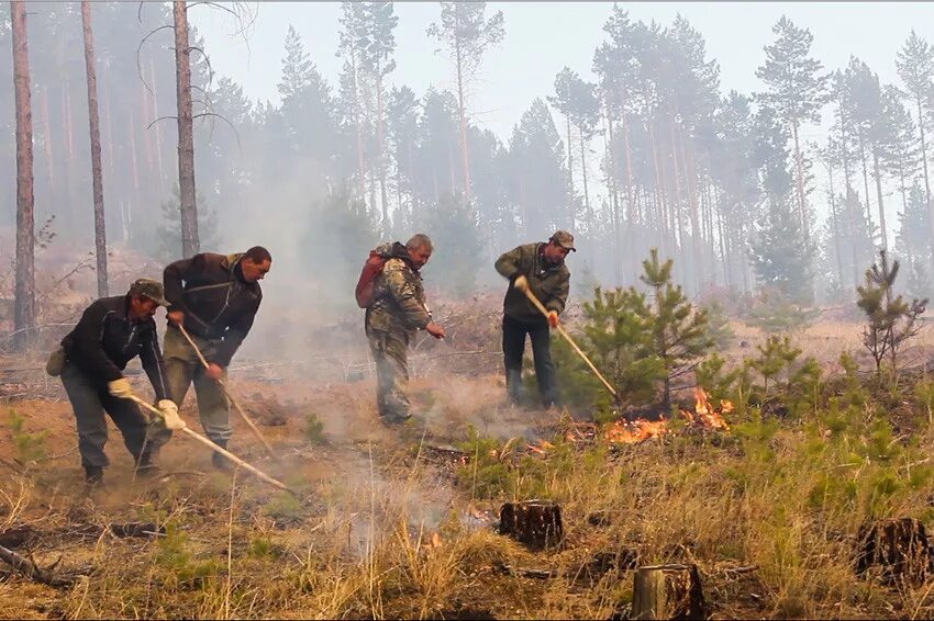 Защита населения и территорий пожаров. Тушение лесных пожаров. Борьба с лесными пожарами. Борьба с лесными пожарами в Сибири. Охрана лесов от пожаров.