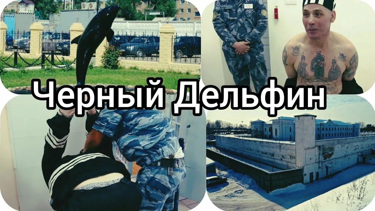 Распорядок дня в черном дельфине. Черный Дельфин пожизненно. Чёрный Дельфин тюрьма. Оренбург черный Дельфин. Тюрьма тюрьма чёрный Дельфин.