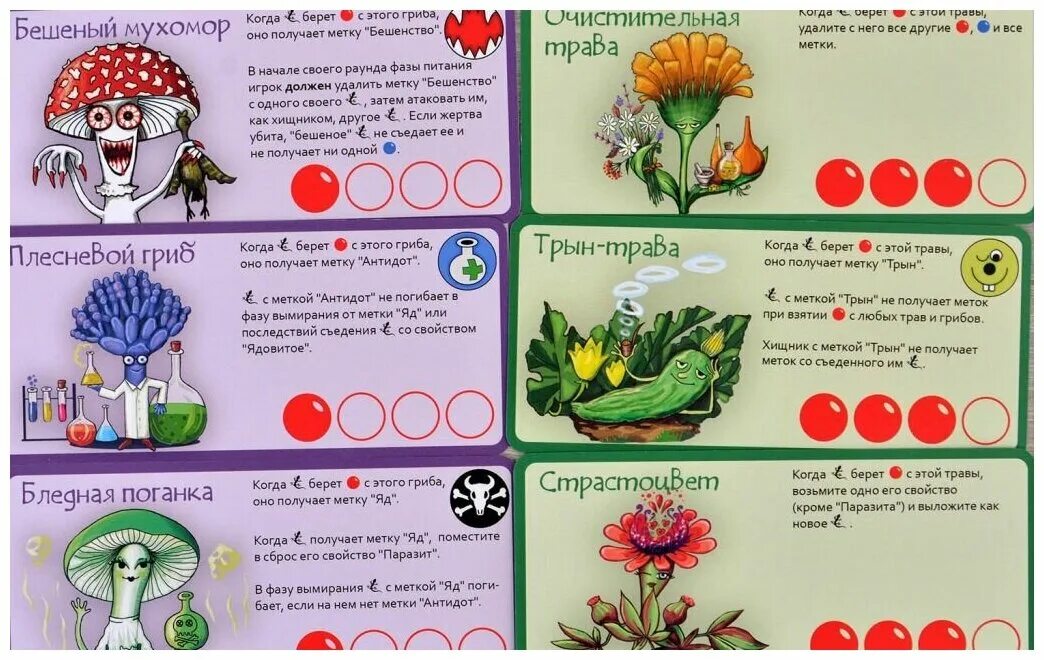 Трава и грибы. Растения это дополнение. Эволюция. Трава и грибы. Эволюция грибы и растения.