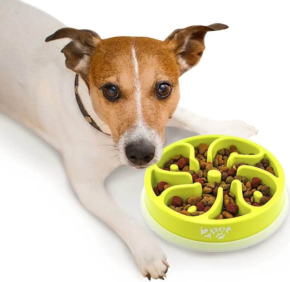 Dog feeding INA Bowl. Dog dish. Dish Dogs 2000. Texturised Dog Feed Swiss.