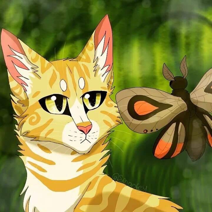 Коты воители видение бабочки. Коты воители мотылинка. коты воители матолинка. коты воители мотолынка. коты воители златошейка.