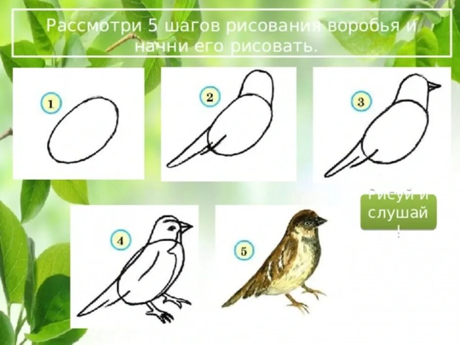 Как рисуется воробей