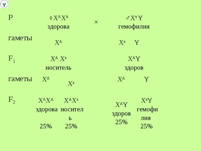 Гаметы группы крови. Задача по группам крови гаметы. Гаметы в задачах. Гаметы по группам крови таблица.