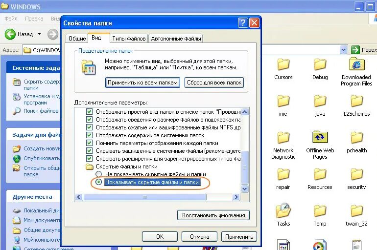 Скрытые папки проводник. Как Отобразить скрытые файлы в папке. Как Отобразить скрытый файл в папке. Как сделать отображение скрытых файлов. Как сделать видимыми скрытые файлы и папки?.