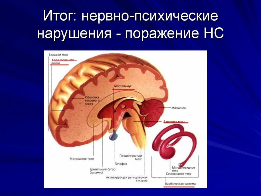 Нервно психические нарушения. Нервно-психическое. Психические нарушения при остро возникших жизнеопасных ситуациях. Нервные психические устройства.