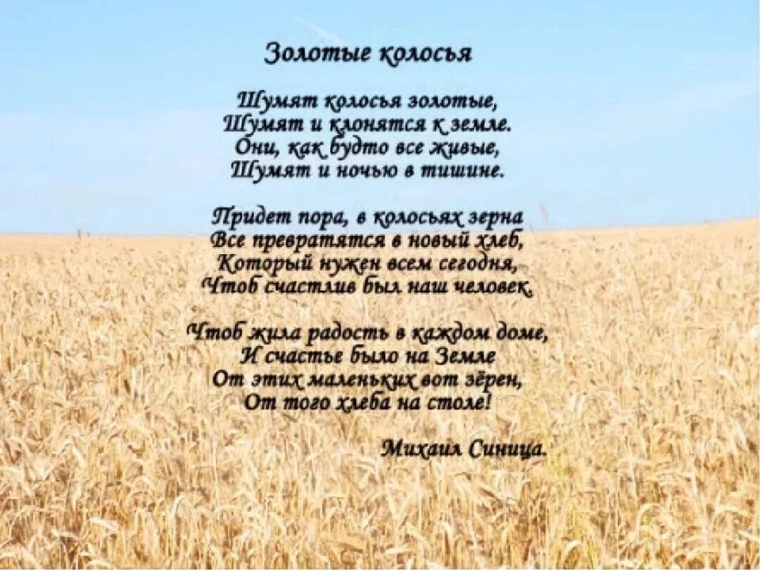 Песня жила украинская. Стих поле. Стишки про поле. Русское поле стих. Стих про поле короткий.