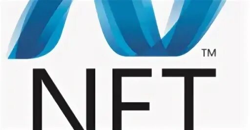 Net framework 30319