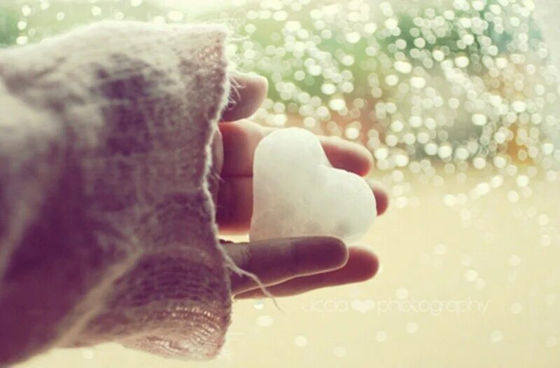 В тепле сердце в льдах. Снежинка на ладошке. Снег на ладони. Тает снег в руках. Тающая Снежинка на руке.