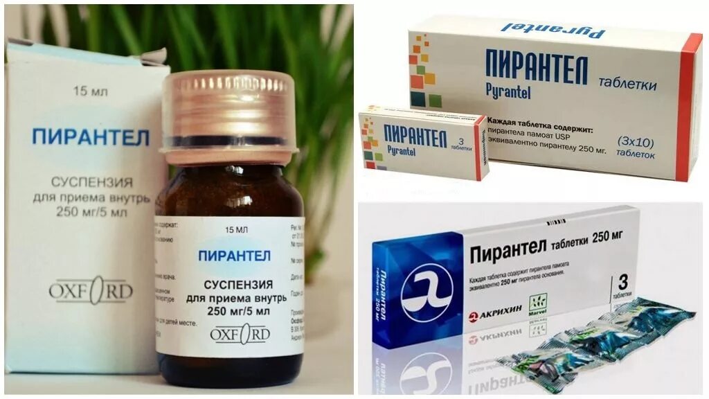 Как быстро от глистов. Препараты детям от глистов и остриц. энтеробиоз лекарство таблетки. лекарства от остриц у взрослых таблетки. таблетки от глистов остриц.