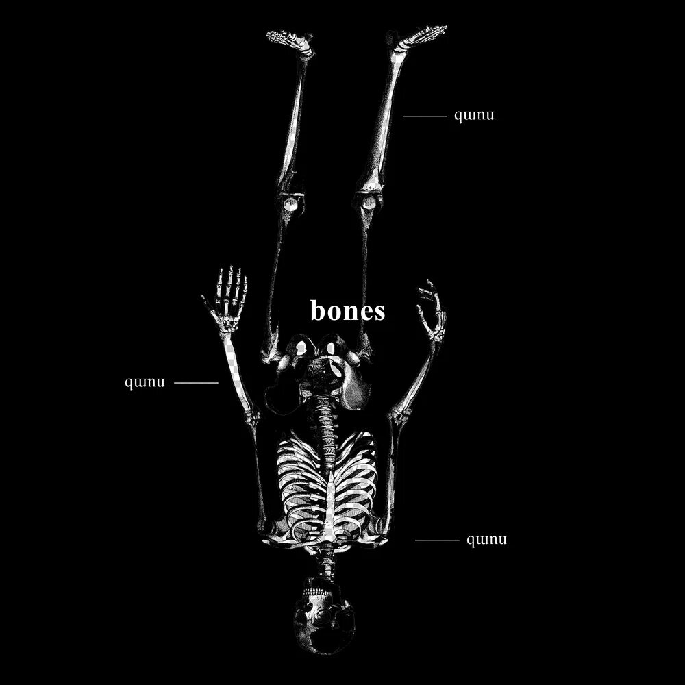 Bones text. Bones обложки альбомов. Bones обложки треков. Bones сингл. Bones обложка альбома 2020.