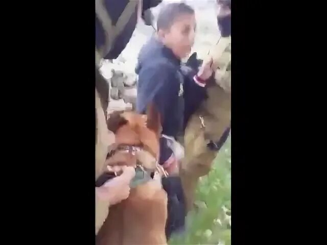 В одном из московских дворов мальчики издевались. В одном из московских дворов мальчики издевались