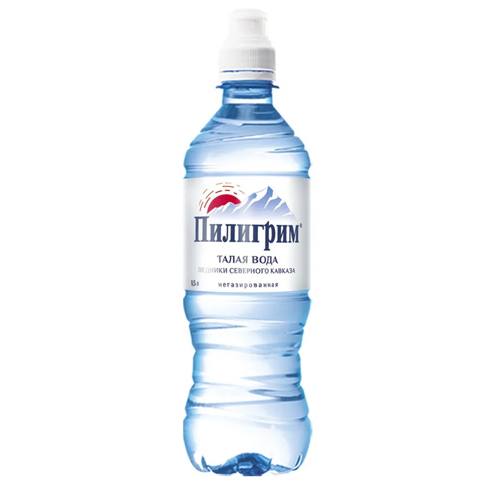 Пилигрим значение. Питьевая вода пилигрим 0,5л. мин.вода &quot;пилигрим&quot; 0,5л газ. минеральная питьевая вода пилигрим негазированная, пэт. вода мин.негаз пилигрим спорт 0.5 л пэт.
