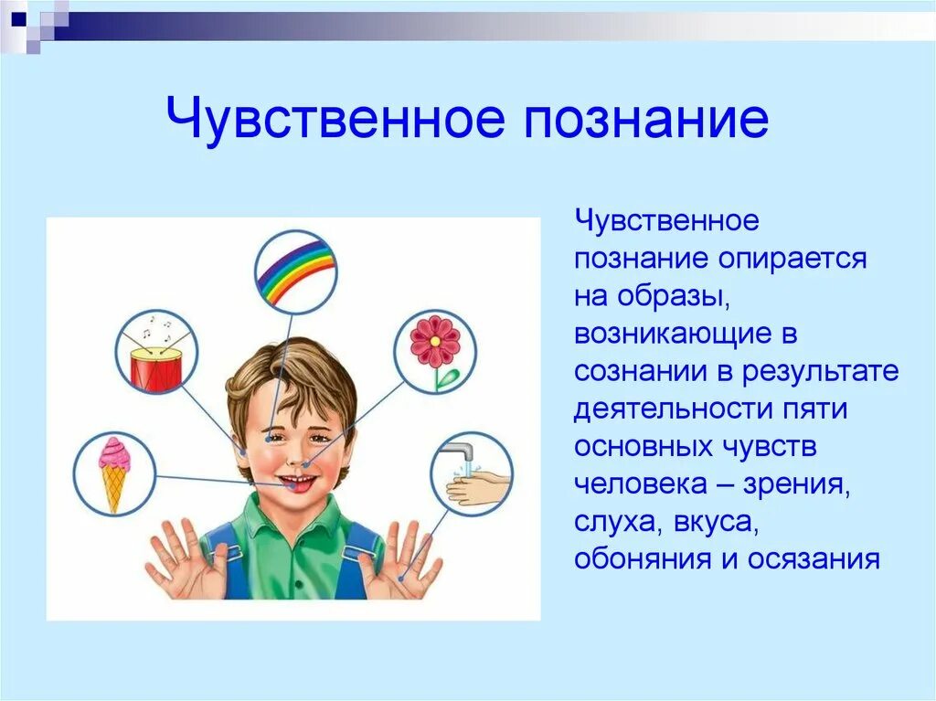 Чувственное познание. Познание. Чувственное познание.. Чувственное познание человека. Способы чувственного познания.