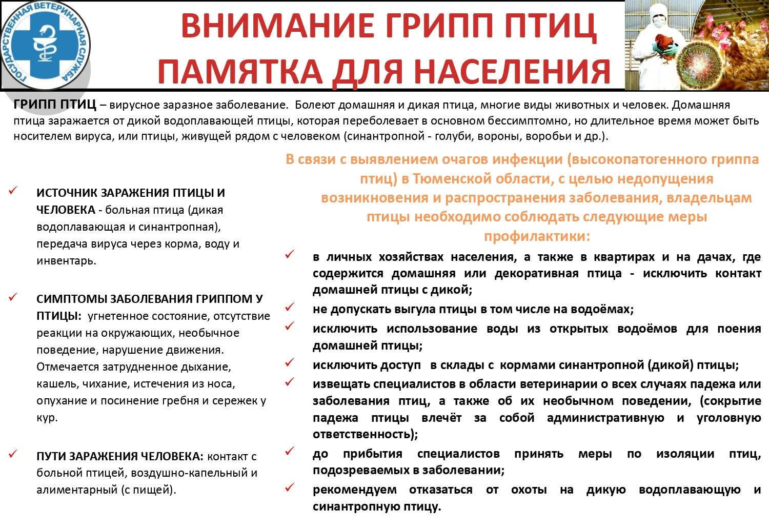 Памятка грипп птиц. Памятка птичий грипп для населения. Памятка по птичьему гриппу для населения. Памятка по птичьему гриппу для населения. Памятка грипп птиц.