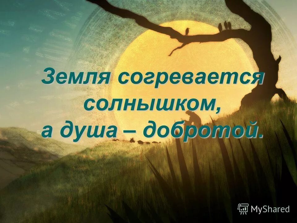 солнышком согрето песня