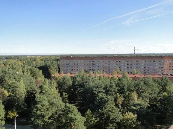 Роддом сосновый бор ленинградская область. Стационар цмсч 38 сосновый бор. Сосновый 38. Фгбуз цмсч № 38 фмба россии. Больничный городок сосновый бор.