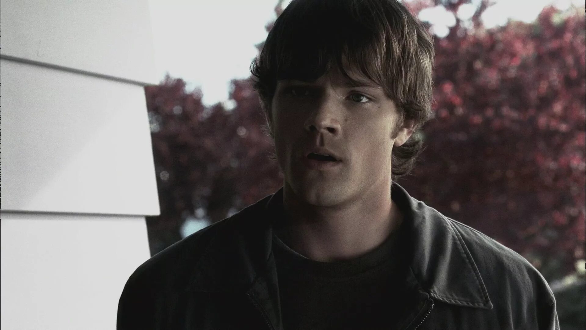 Джаред падалеки уокер. Сыграл сэма. Сыграл сэма. Сыграл сэма. Сэм винчестер каре.